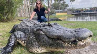 Gatorama
