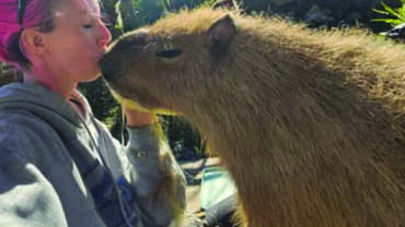 Jungle Doria’s Wildlife Park