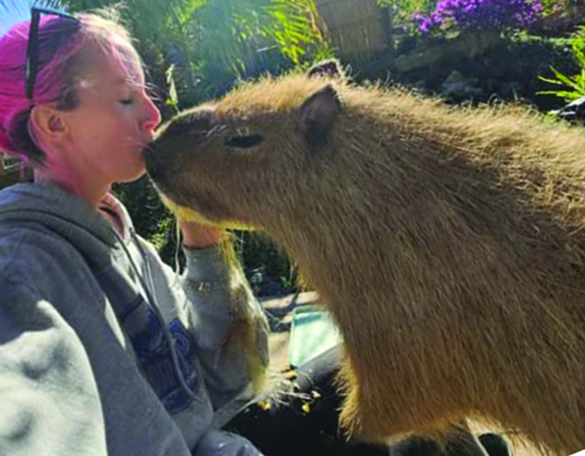 Jungle Doria’s Wildlife Park